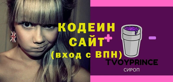 ГАЛЛЮЦИНОГЕННЫЕ ГРИБЫ Вяземский
