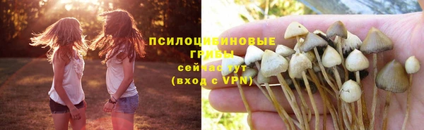 а пвп мука Горно-Алтайск