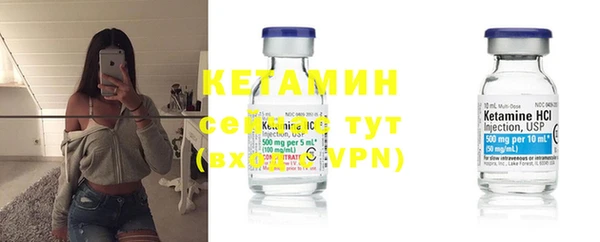 трава Гусиноозёрск