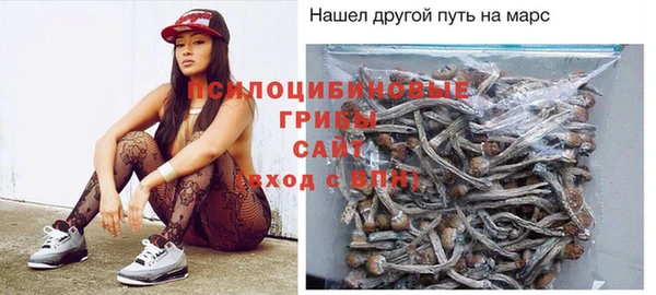 ALPHA PVP Гусь-Хрустальный