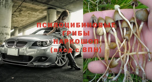 амф Вязьма