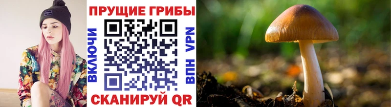 Галлюциногенные грибы GOLDEN TEACHER Саранск